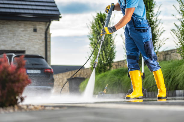 Best Window and Screen Pressure Cleaning in Ocean Springs, MS